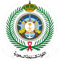 شريك 2
